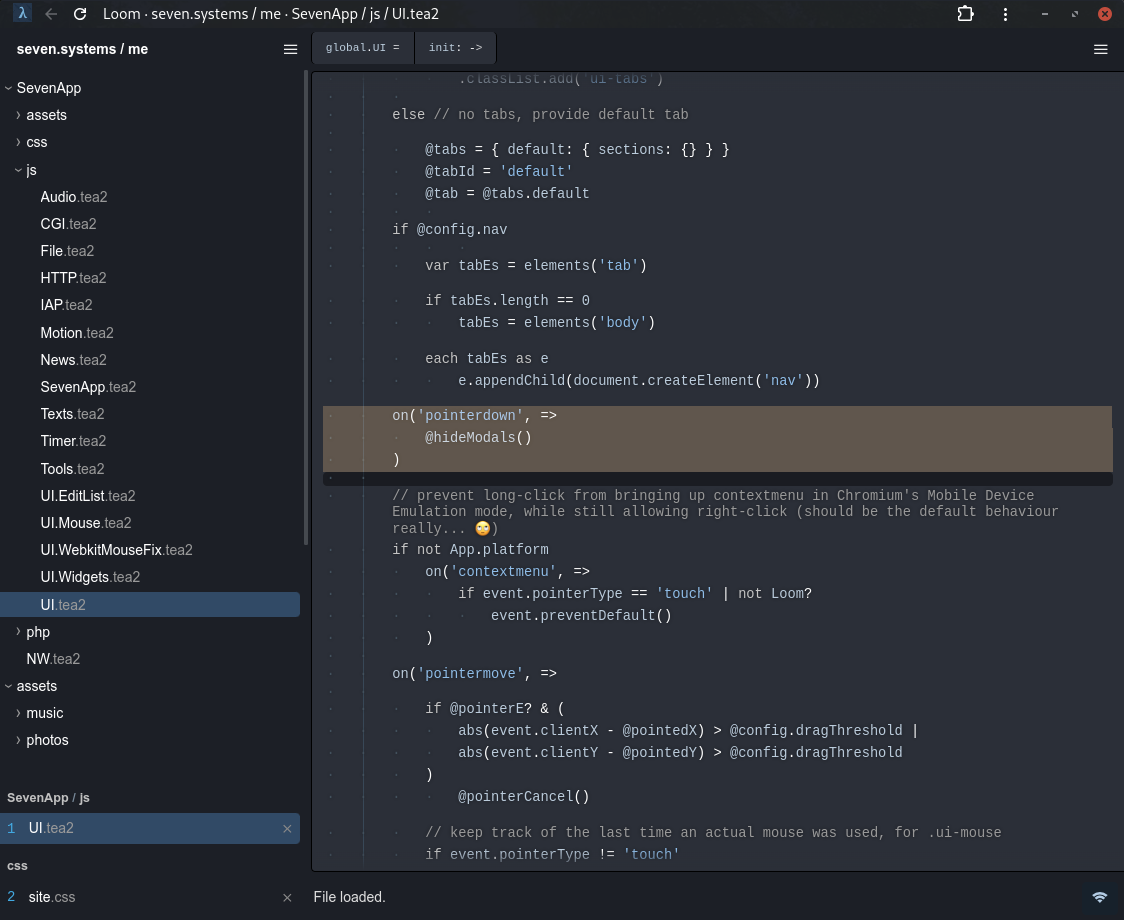 IDE with custom editor